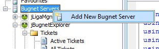 Neuen Server zu Bugnet Explorer Suite hinzufügen